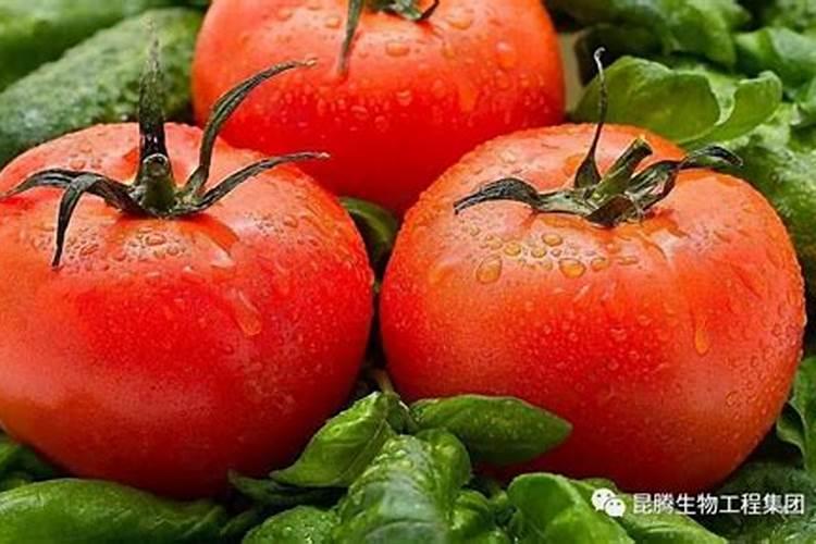 红薯施肥,需要什么讲究