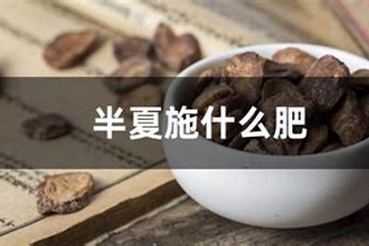 杜鹃花得了小叶病怎么办？