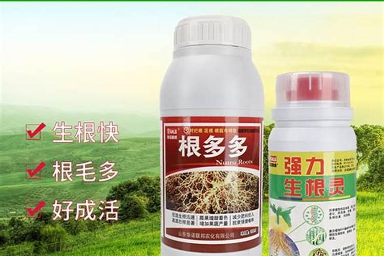 稻黄金叶面肥对水稻效果好吗