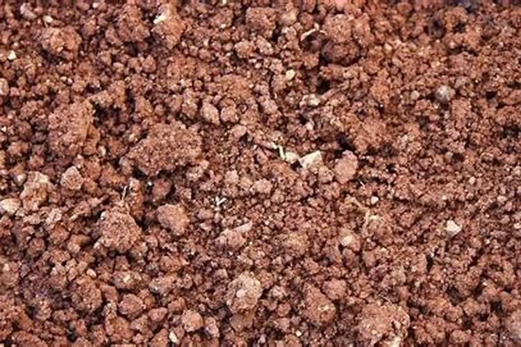 辣椒收获期叶面喷施氮肥可以吗,比例是多少？