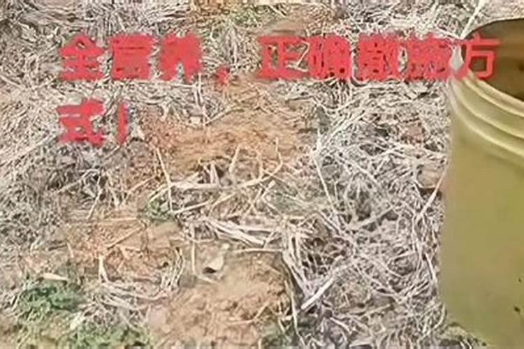 一亩地用多少硼肥 如何正确施硼肥