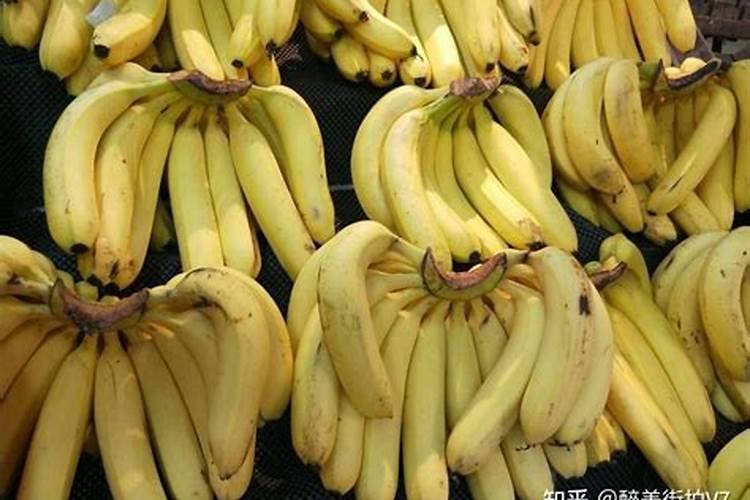 栽香蕉基底肥怎么下？