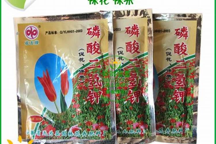 金鱼花喜欢什么肥料