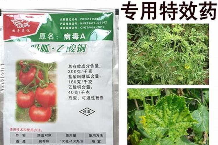 怎样使土壤肥沃疏松