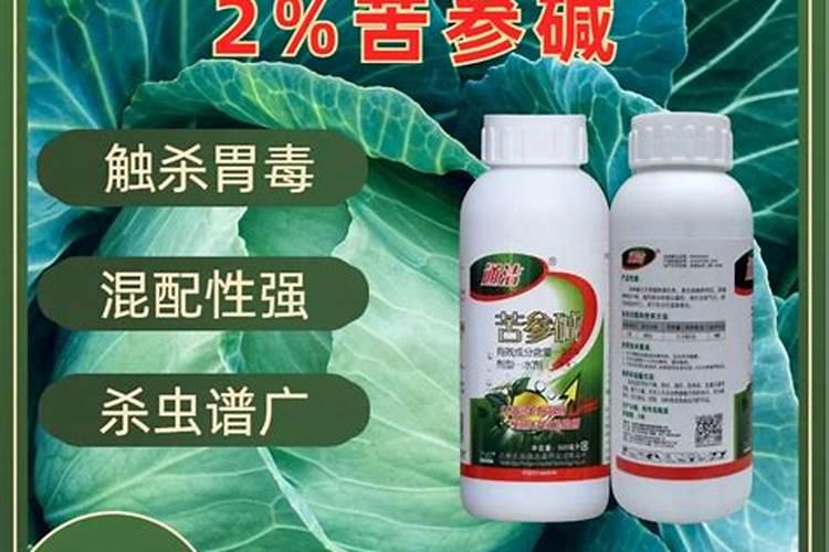 血橙种植技术