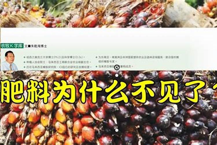 糖化硼肥片埋过得土壤还能用吗