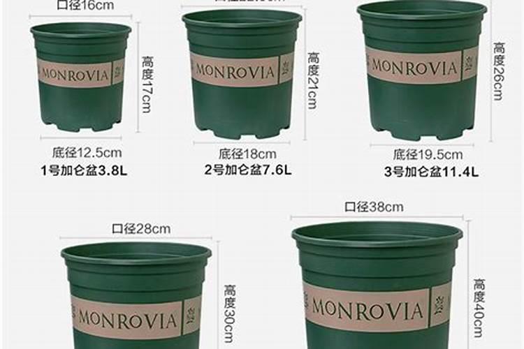 养花多久施肥一次？什么肥料最适合室内养花？