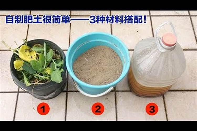 有机蔬菜用什么肥料