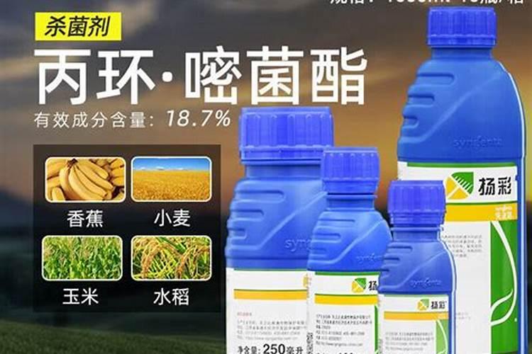 扬彩杀菌剂的功效,附使用注意事项