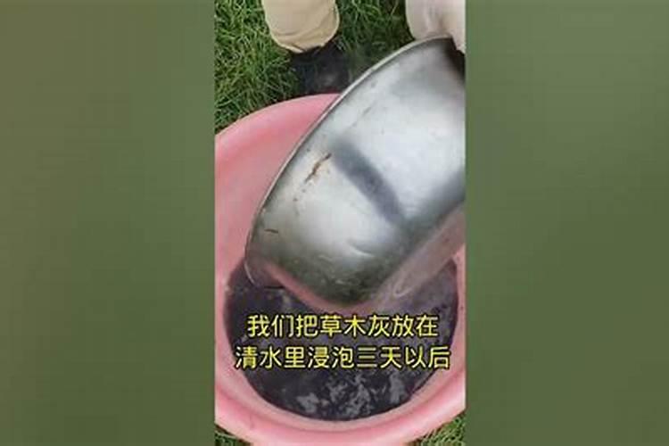 草木灰如何做肥料