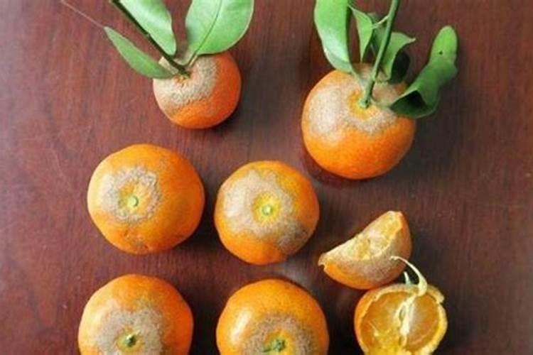 沙糖桔保花保果用什么药