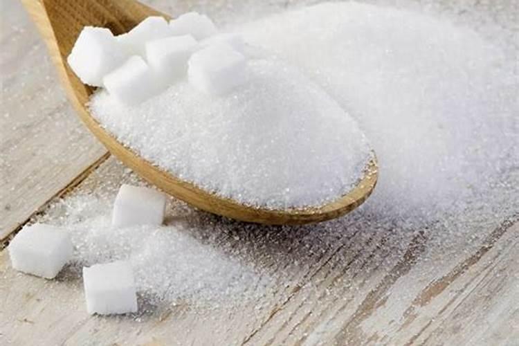 富贵竹怎么水养才旺盛白砂糖