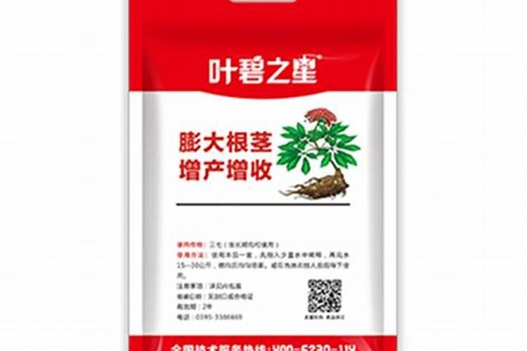 三七在浙江可以种植吗？