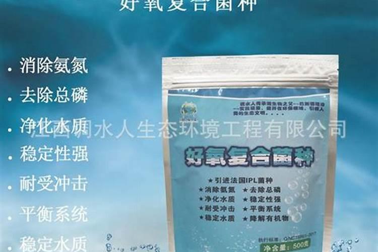 细菌和真菌在自然界中的作用