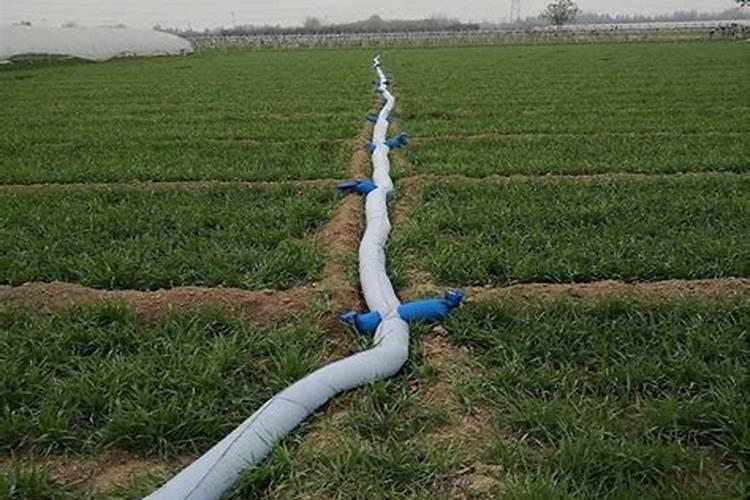 棚室种植黄瓜,要掌握怎样的施肥技术呢？