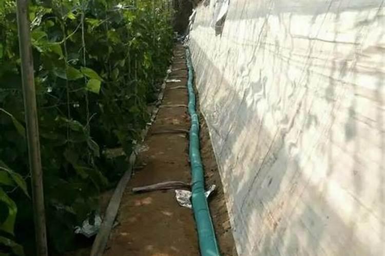 根据蔬菜种植模式应选择何种采样方法？