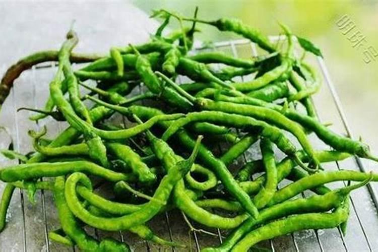 辣椒用什么肥料好