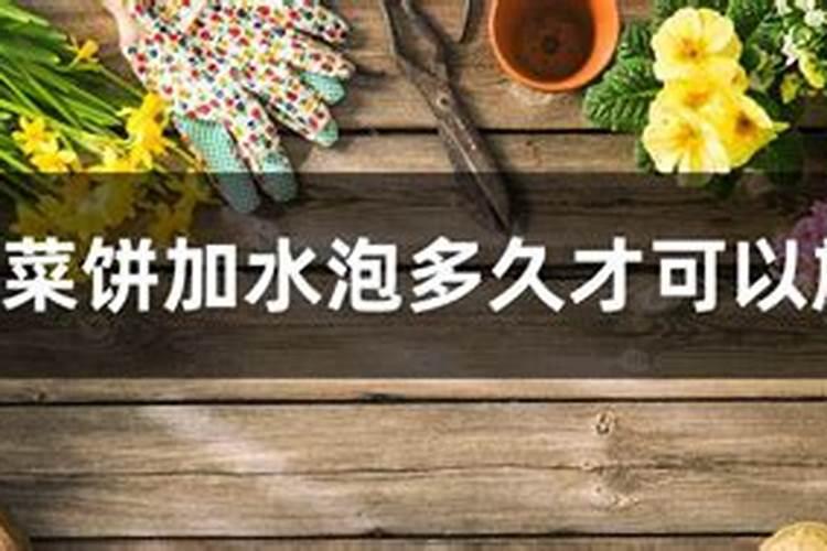 菜籽饼做肥料白兰花可用吗