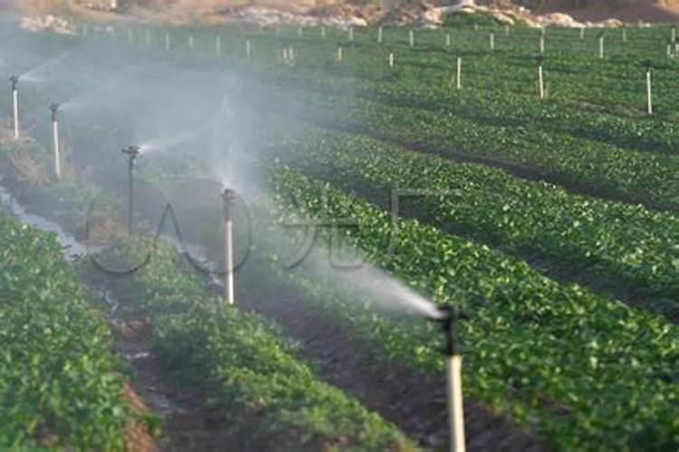 冲施肥的使用方法