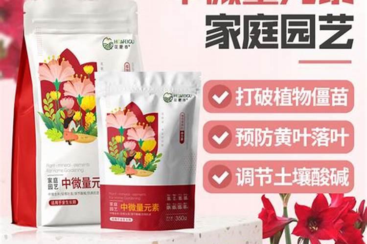 玉兰花用什么肥料最好