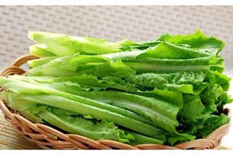 辣椒滴灌钙肥用量多少