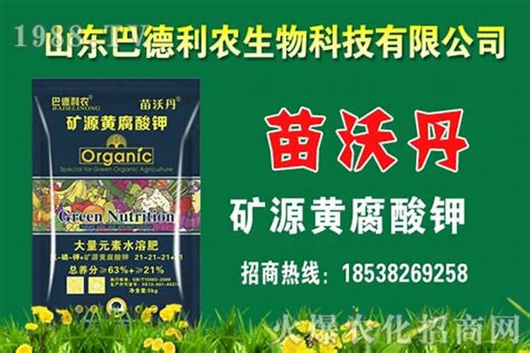 种土豆用节水灌溉滴灌带