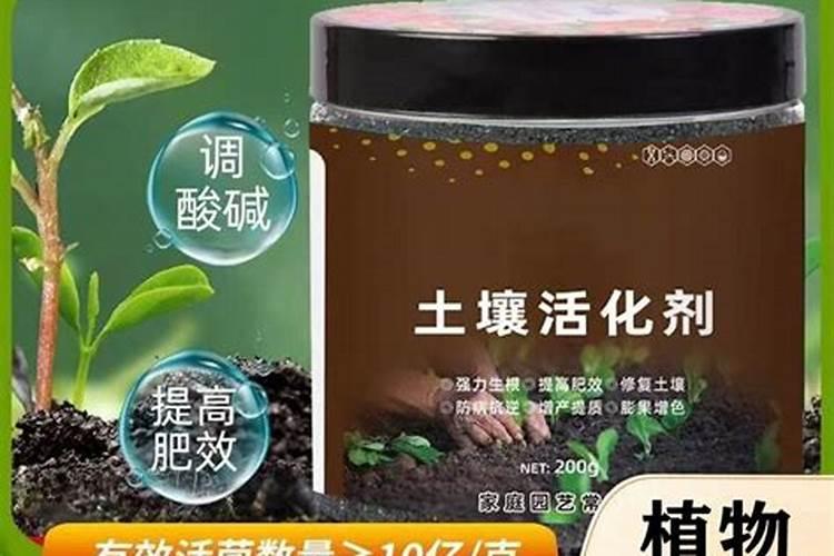 栀子花可以施活化宝吗