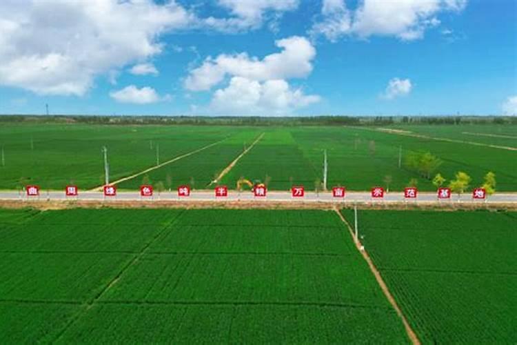 小麦喜欢什么肥料 附用量和用法