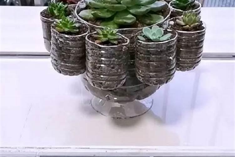 骨粉兑水浇花还是埋在土里好(怎么操作制作骨粉给花浇肥)