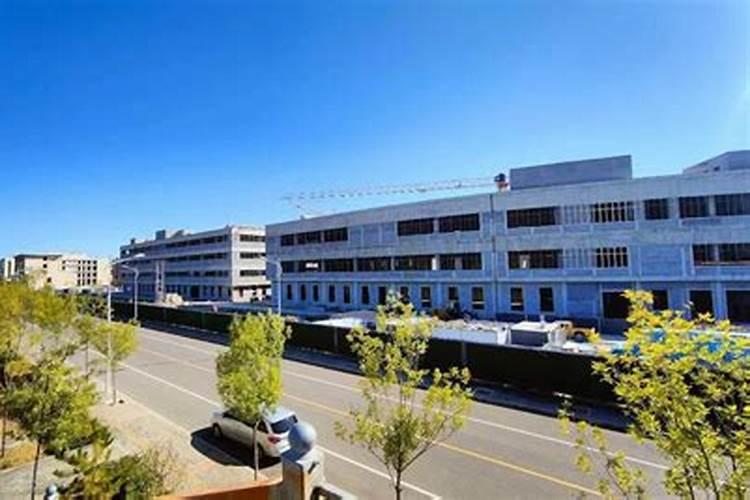 硝酸钙兑水冲施稀释倍数是多少