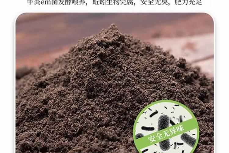 有机肥可以养蚯蚓吗？