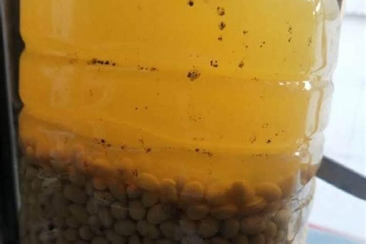 大豆连续重茬用什么肥