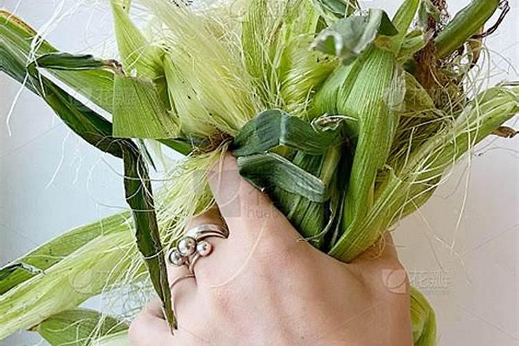 玉米追施尿素正确方法是什么呢
