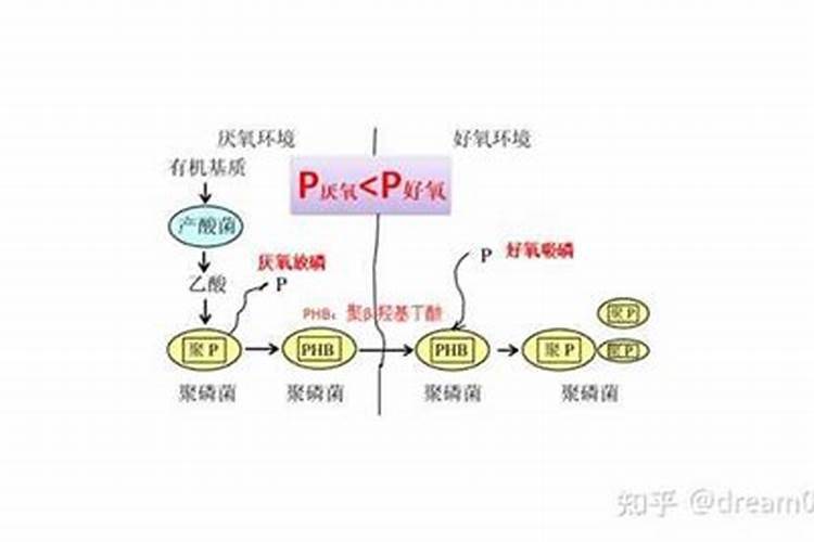 磷酸二氢钾适用于哪些花