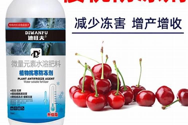 使用生物有机肥对樱桃有何好处