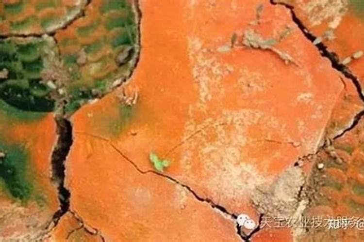 氮肥厂会造成土地污染吗