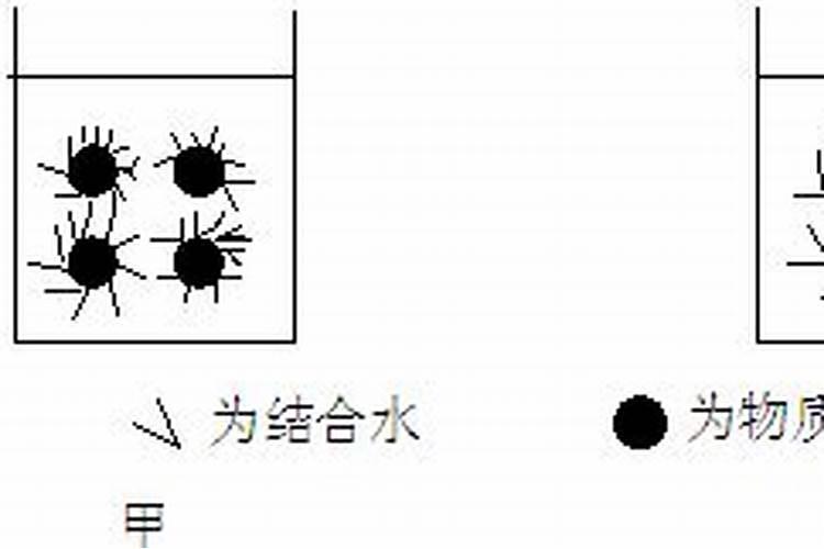 腐殖酸水溶肥是什么肥料？