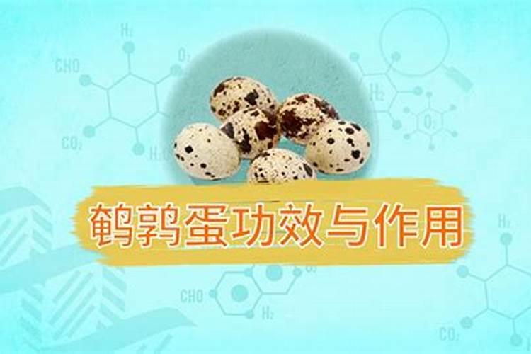 盆底埋颗鹌鹑蛋,花又壮又猛,长疯了!