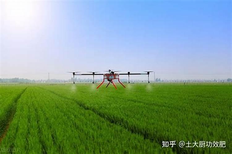花生喷施钙肥最佳时间 什么时候使用合适