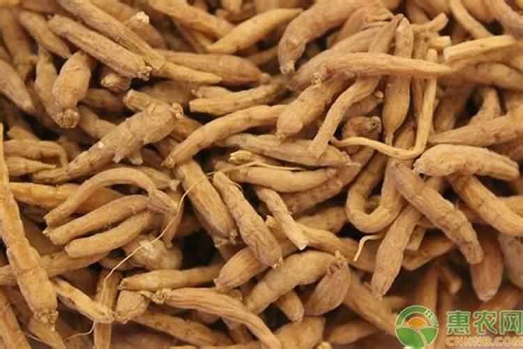 药用植物离体培养再生植株是什么？
