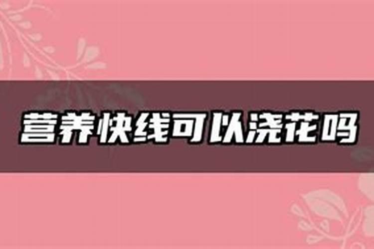 冬季如何解决蔬菜生长缓慢
