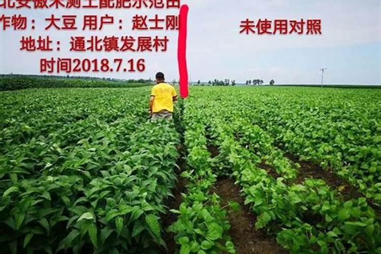 如何用大豆追肥