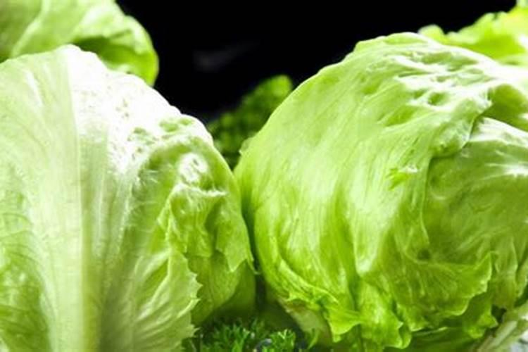 生菜追肥可以用尿素吗