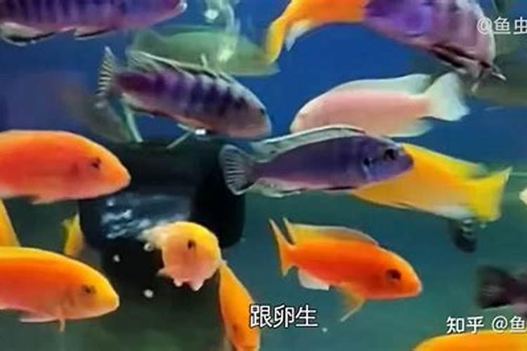 钾肥有什么作用？