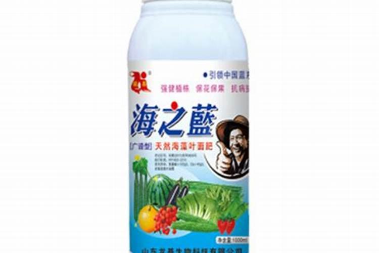 海藻叶面肥哪家好