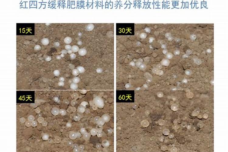缓释肥和控释肥哪个好
