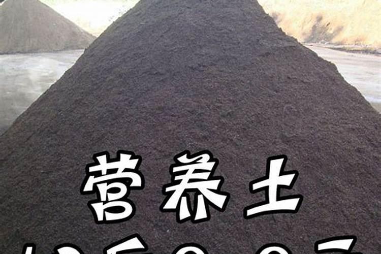 营养土是什么原料做成的 配制营养土的材料有哪些