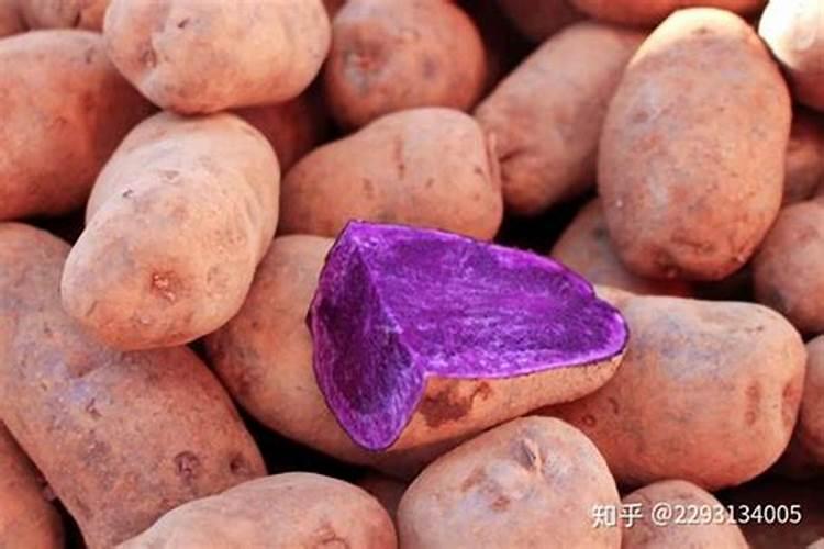 土豆和鸡蛋那个营养价值高