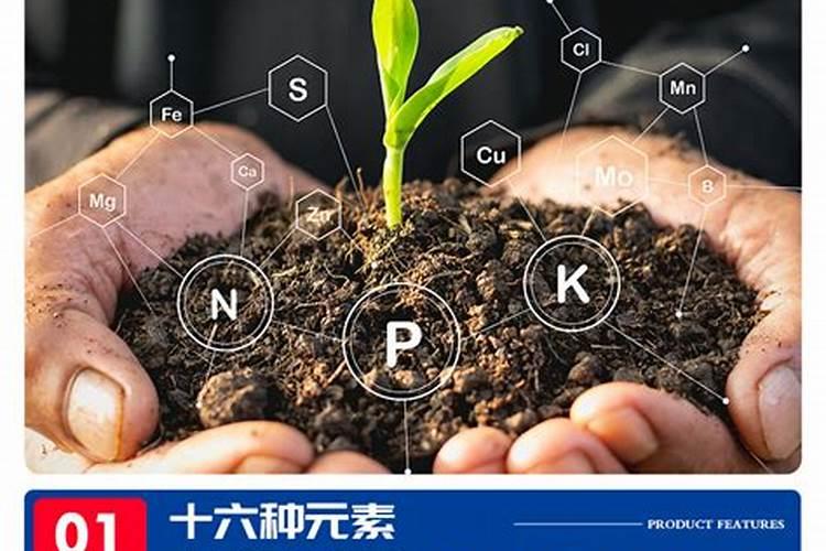 大量元素水溶肥有哪些作用