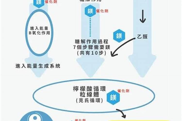 镁肥补施镁肥方法